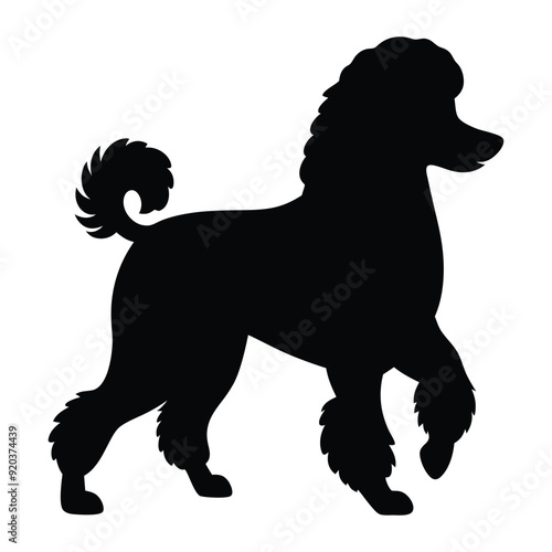 Illustration of Walking Poodle dog silhouette isolated 
