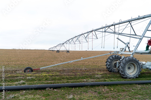 Pivot to water growing grain fields