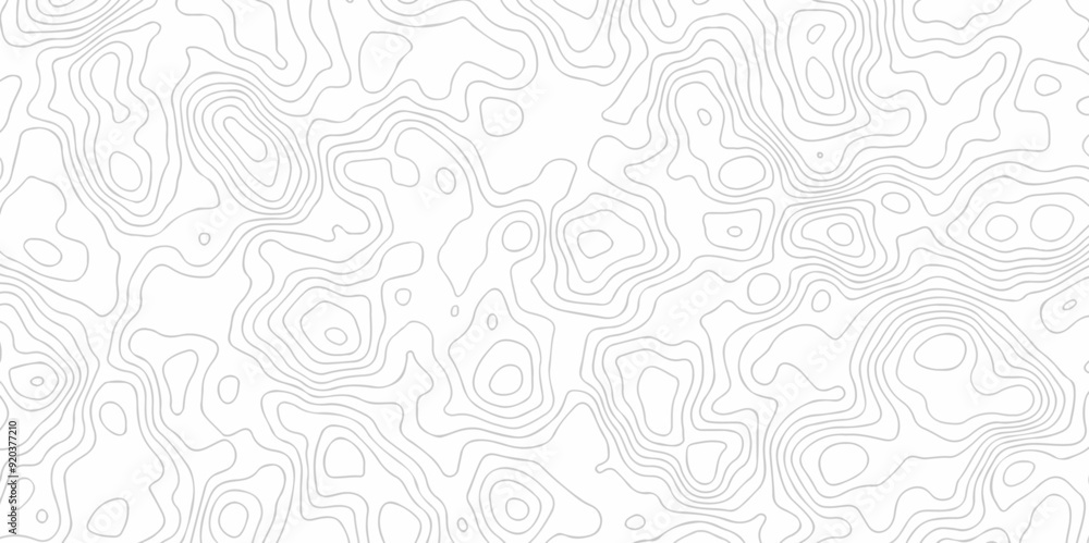 Abstract vector black wave curve Topography grid map. white wave line geography landscape Topo contour map on white background. Geographic mountain relief diagram line pattern.