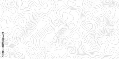 Abstract vector black wave curve Topography grid map. white wave line geography landscape Topo contour map on white background. Geographic mountain relief diagram line pattern.