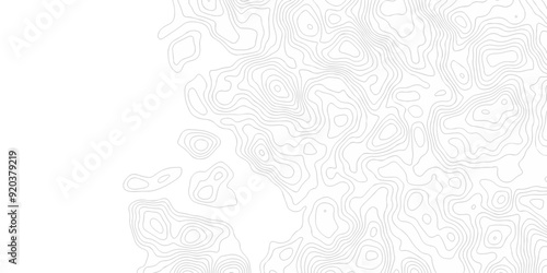 Seamless topography map pattern camping stripe cartography diagram black and white geometric carve wave line. abstract topography line map vector wavy texture design background.