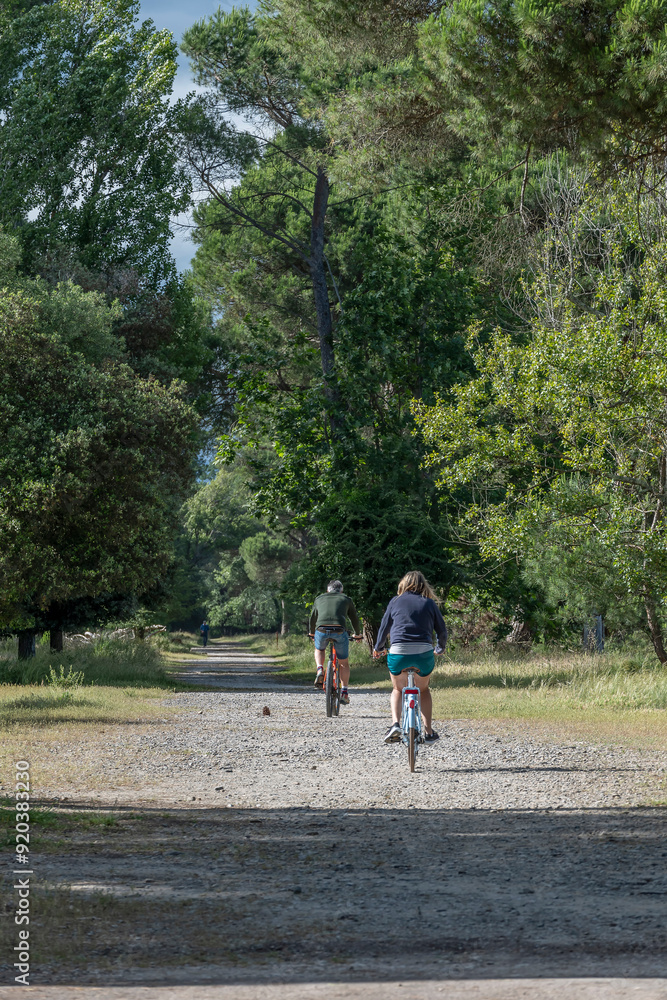 A woman and a man cycle along one of the many paths in the San Rossore natural park, Pisa, Italy A woman and a man cycle along one of the many paths in the San Rossore natural park, Pisa, Italy