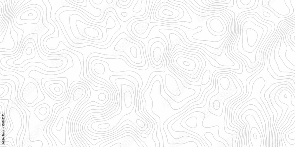 Vector white and black wave curve Topography grid map. white wave line geography landscape Topo contour map on white background. Geographic mountain relief diagram line pattern. Vector white and black wave curve Topography grid map. white wave line geography landscape Topo contour map on white background. Geographic mountain relief diagram line pattern.