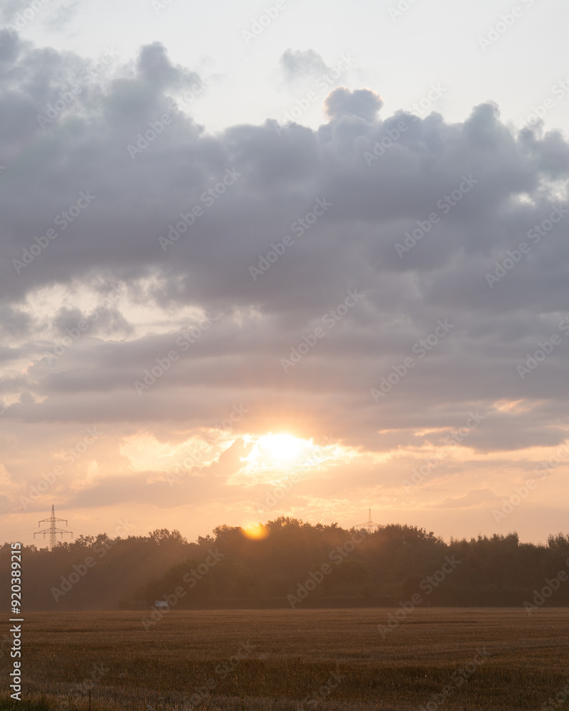 Obraz premium sunset over the field