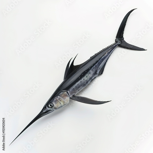 Swordfish laying on the surface, isolated on white background, professionally captured with a focus on texture and detail of the fish. 

 photo