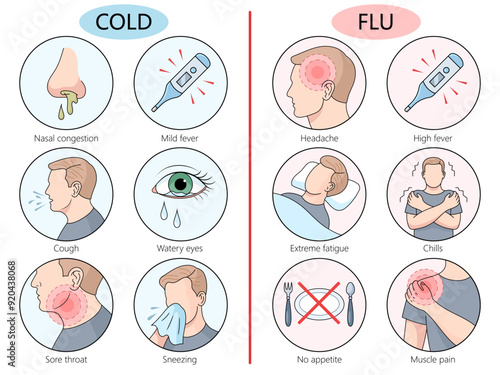 symptoms of cold and flu, nasal congestion, fever, headache, cough, muscle pain, differences between two illnesses diagram hand drawn vector illustration. Medical science educational illustration