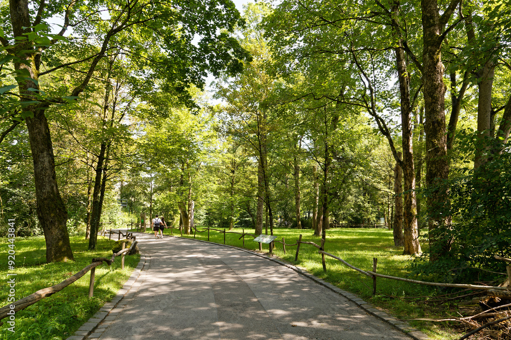 Parc et forêt à Münich Parc et forêt à Münich