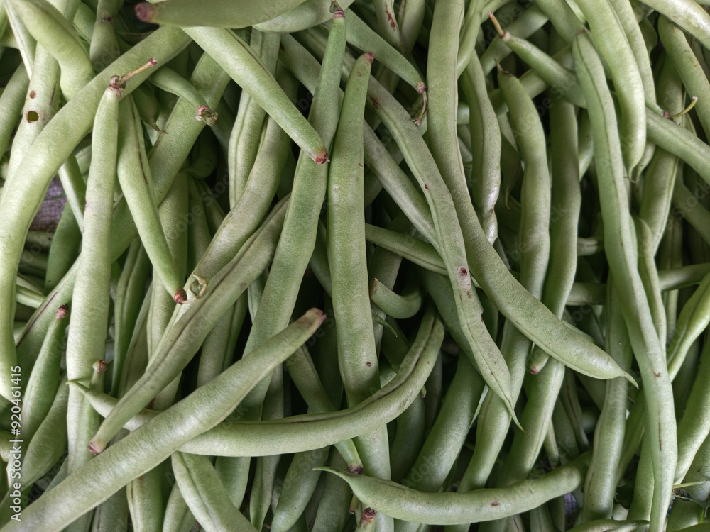 Fresh green beans as background. A pile of fresh and raw string beans or snap beans or green beans. Fresh green beans as background. A pile of fresh and raw string beans or snap beans or green beans.