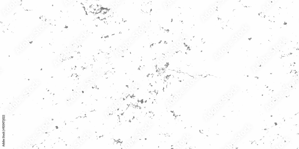 Abstract white and black texture of a grunge concrete wall with cracks and scratches background. distressed grunge concrete wall texture. abstract vintage of old surface texture background. Abstract white and black texture of a grunge concrete wall with cracks and scratches background. distressed grunge concrete wall texture. abstract vintage of old surface texture background.