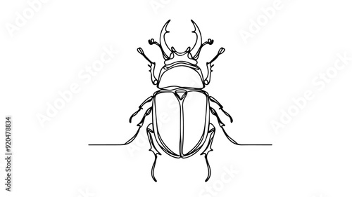 Line art drawing of a beetle 