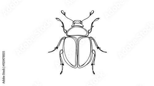 beetle one continuous line art