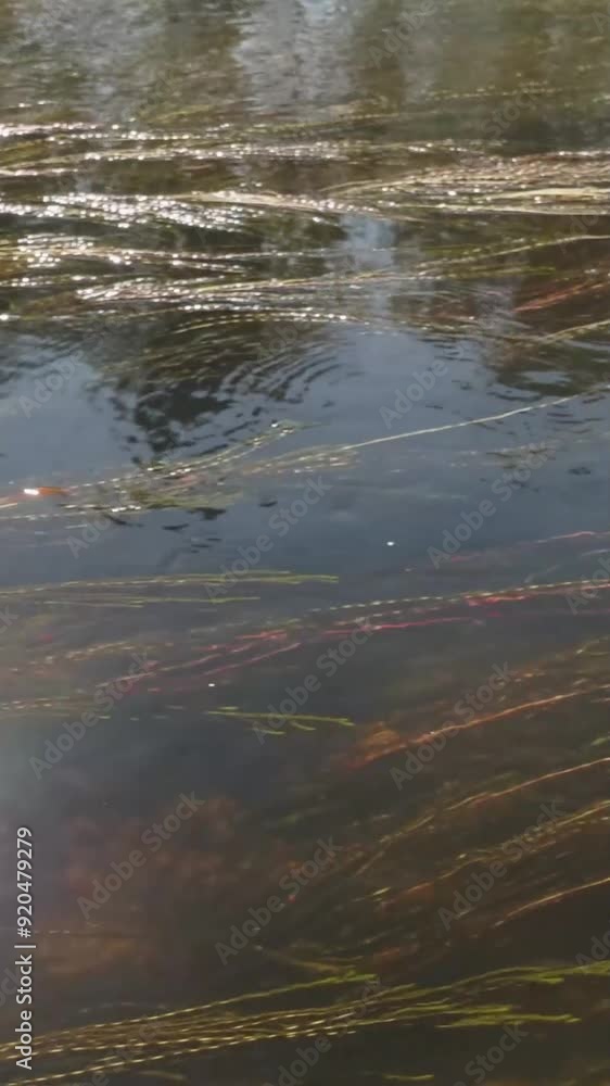 Fantastic view of mountain during summer