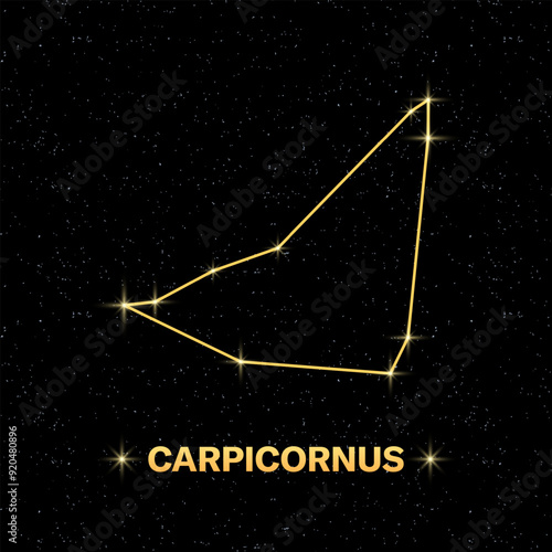 Constellation Carpicornus banner. Flat style. Vector illustration.
