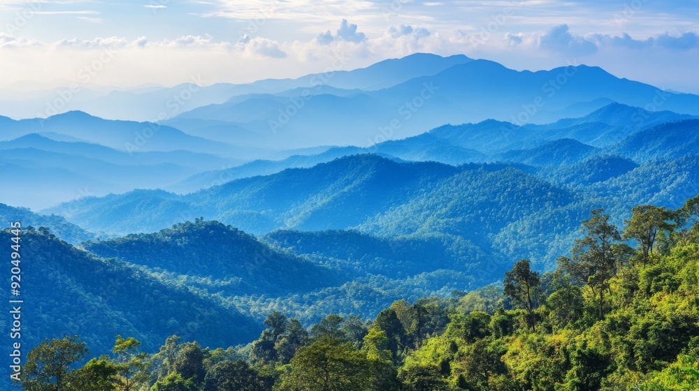 Fototapeta premium Tropical mountain view