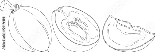 Chiku elements. Sapodilla naseberry pouteria line fruits. Vector botanical design of exotic tropical fruit