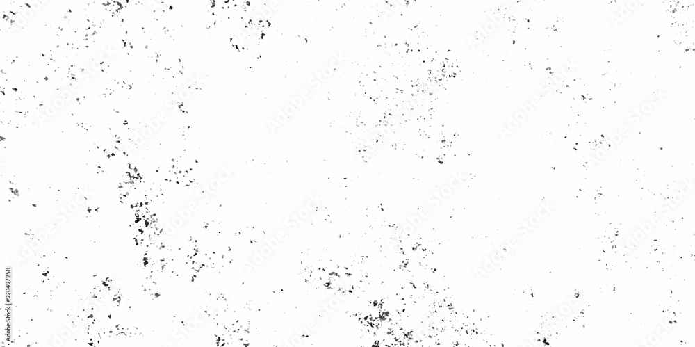 Abstract white and black texture of a grunge concrete wall with cracks and scratches background. distressed grunge concrete wall texture. abstract vintage of old surface texture background. Abstract white and black texture of a grunge concrete wall with cracks and scratches background. distressed grunge concrete wall texture. abstract vintage of old surface texture background.