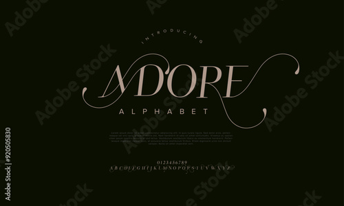 Adore swash luxury elegant alphabet letters and numbers. Vintage wedding typography classic serif font decorative vintage retro. creative vector illustration