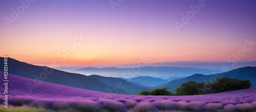 Wallpaper Mural sunset over the mountains of lavender Torontodigital.ca