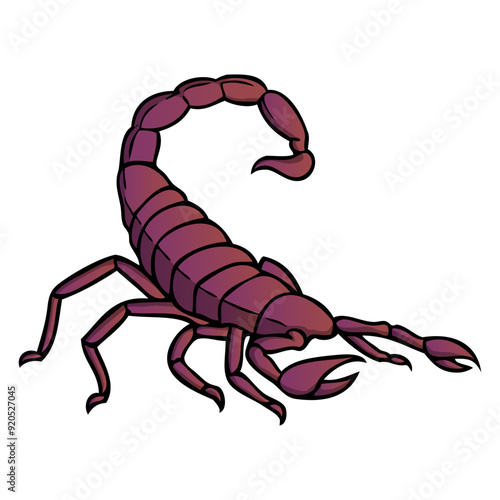 scorpion vector illustration