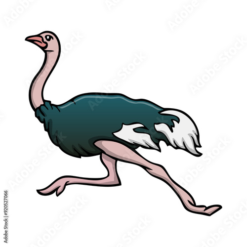 ostrich vector illustration