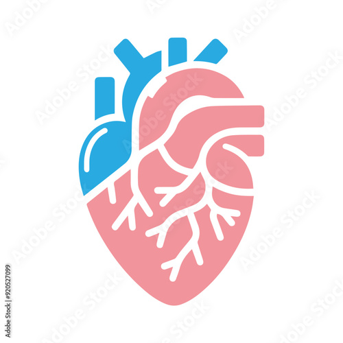 Human heart anatomicall flat style