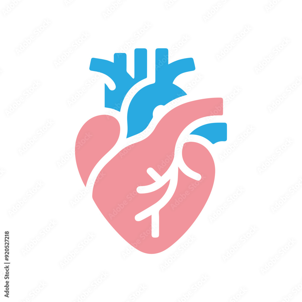 Human heart anatomicall flat style Human heart anatomicall flat style