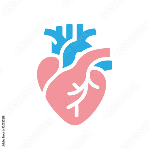 Human heart anatomicall flat style