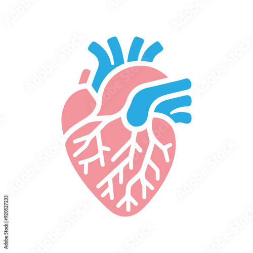 Human heart anatomicall flat style