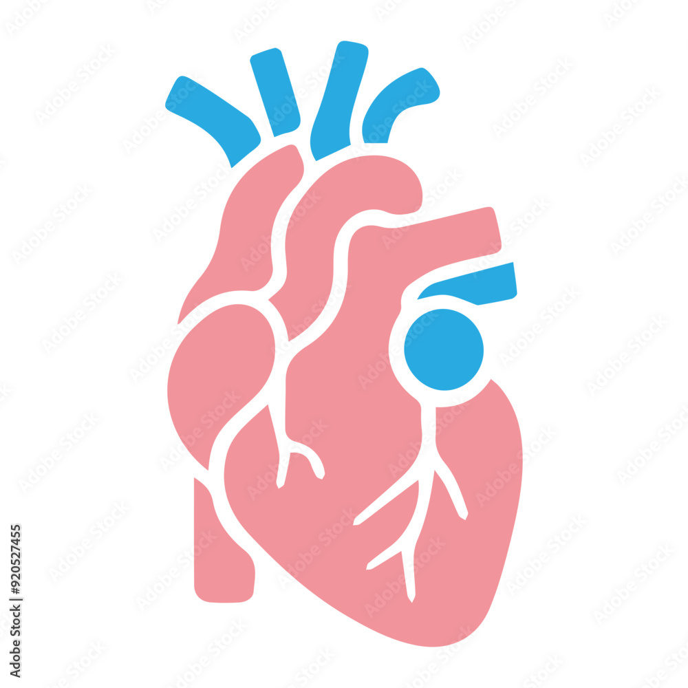 Human heart anatomicall flat style Human heart anatomicall flat style