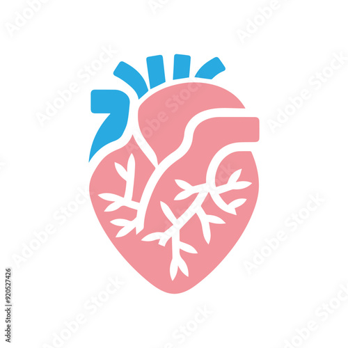 Human heart anatomicall flat style