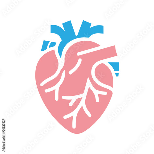 Human heart anatomicall flat style