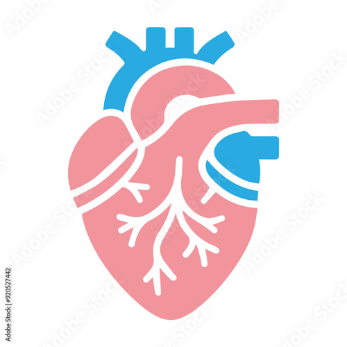 Human heart anatomicall flat style