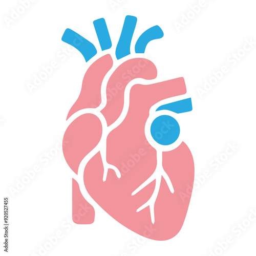 Human heart anatomicall flat style
