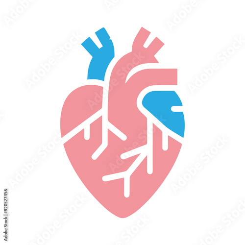 Human heart anatomicall flat style
