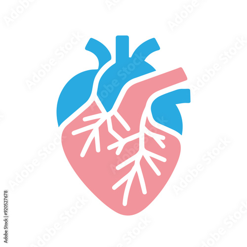 Human heart anatomicall flat style