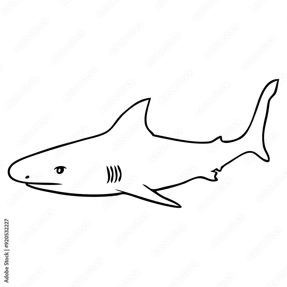 Obraz premium shark line vector illustration