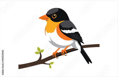 Flat Oriole bird stay vector kawaii on white background