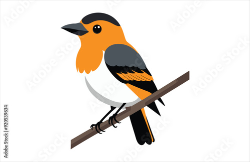 Flat Oriole bird stay vector kawaii on white background