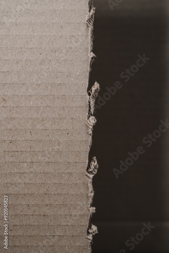 Torn edge detail of realistic cardboard background texture with shadow