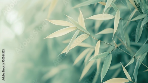 Wallpaper Mural Tranquil Bamboo Leaves in Sunlight Torontodigital.ca