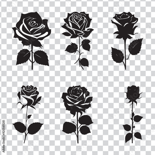 Rose flower silhouette vector image