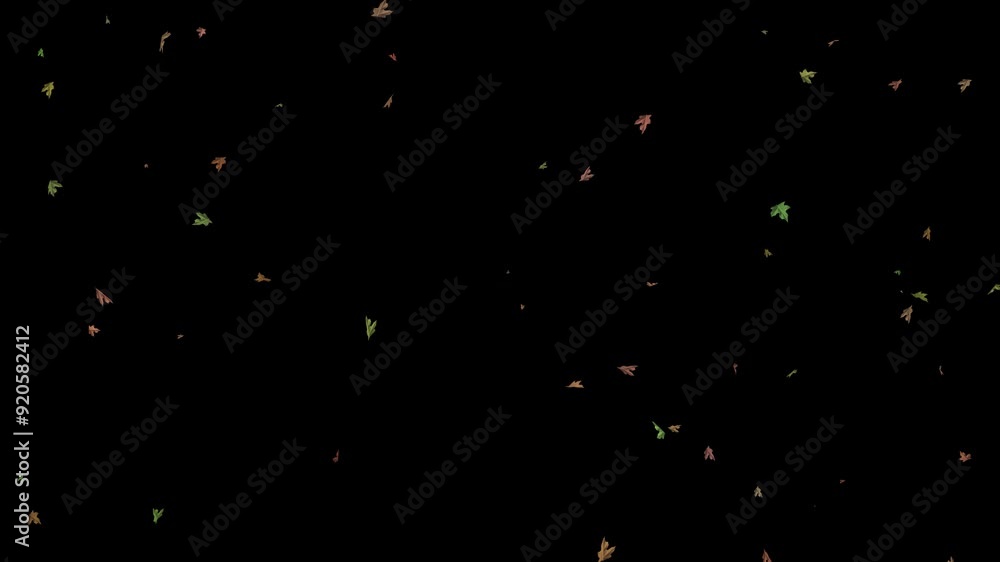 4K Autumn, Falling Leaves with Matte. 가을 날리는 낙엽 소스 (매트 포함) 4K Autumn, Falling Leaves with Matte. 가을 날리는 낙엽 소스 (매트 포함)