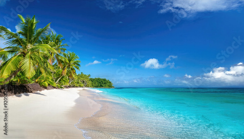 Tropical beach with palm trees during a sunny day