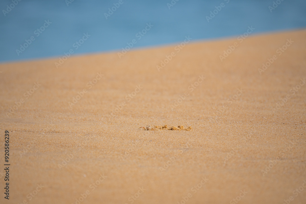 4K. sand with blurred ocean water wave tropical beach bokeh background, summer vacation and travel concept with copy space 4K. sand with blurred ocean water wave tropical beach bokeh background, summer vacation and travel concept with copy space