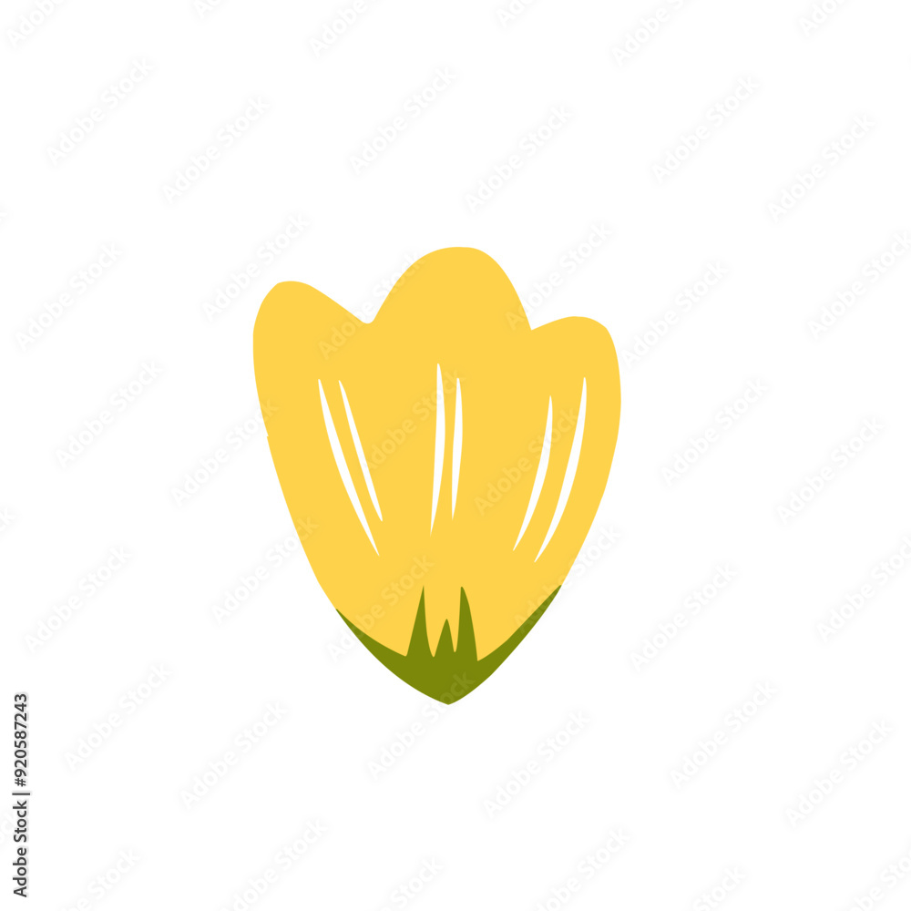 Obraz premium single flower form