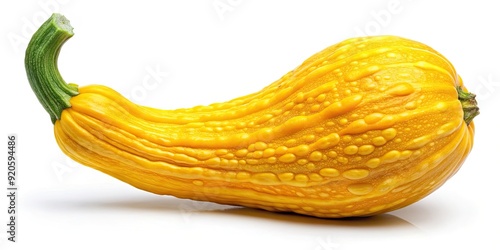 A vibrant yellow crookneck squash sits isolated on a white background, its curved neck and bulbous body showcasing its natural, organic beauty and texture. photo