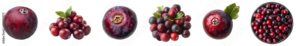 cranberries set different views png. cranberry top view png. Cranberries PNG. Cranberry fruit for thanksgiving dinner isolated. Delicious, ripe, red cranberries during autumn fall harvest png cranberries set different views png. cranberry top view png. Cranberries PNG. Cranberry fruit for thanksgiving dinner isolated. Delicious, ripe, red cranberries during autumn fall harvest png