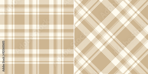 Vector checkered pattern. Tartan, textured seamless twill for flannel shirts, duvet covers, other autumn winter textile mills. Vector Format