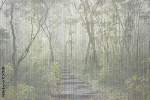 Obraz Path in a mysterious tropical forest. Illustration for decoration, walpaper, poster, card.