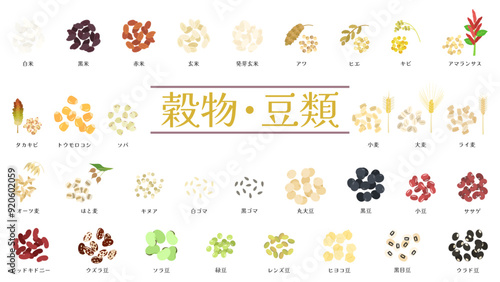 32種類の穀物・豆類。米や玄米、雑穀、インゲン豆やソラ豆など。フラットなベクターイラストセット。
32 types of grains and legumes. Including rice, brown rice, millet, kidney beans, fava beans, and more. Flat vector illustration set.